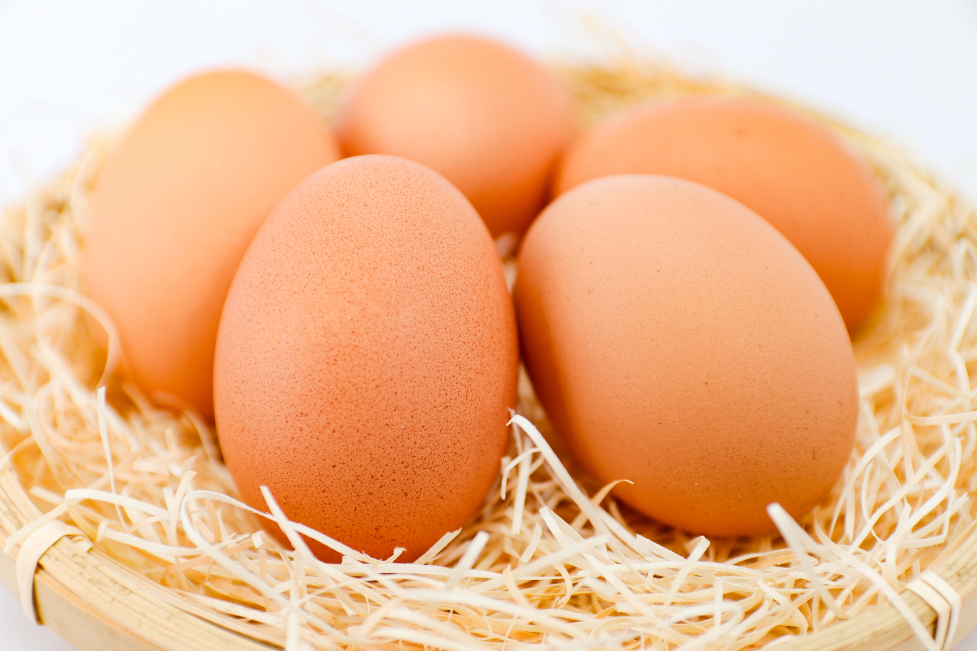 私の卵の選び方！おすすめの卵もご紹介♪ | manalog